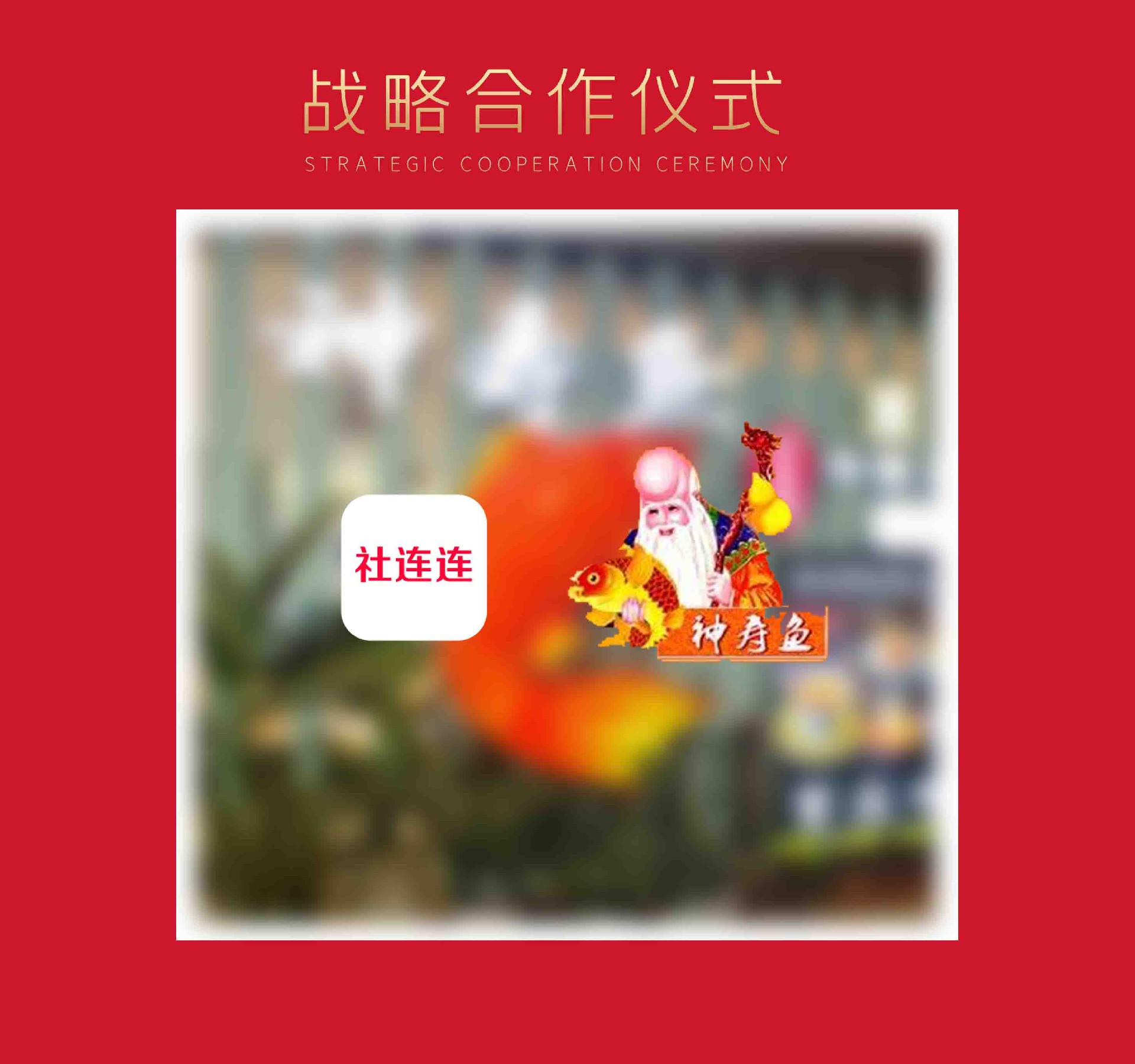 社连连和神寿鱼达成战略合作